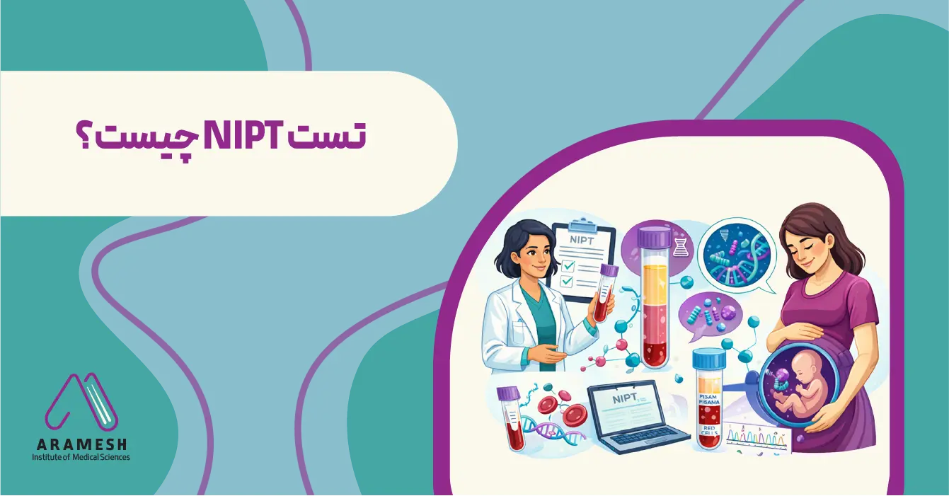 تست NIPT چیست؟ | راهنمای تست غربالگری NIPT در آزمایشگاه‌های ژنتیک