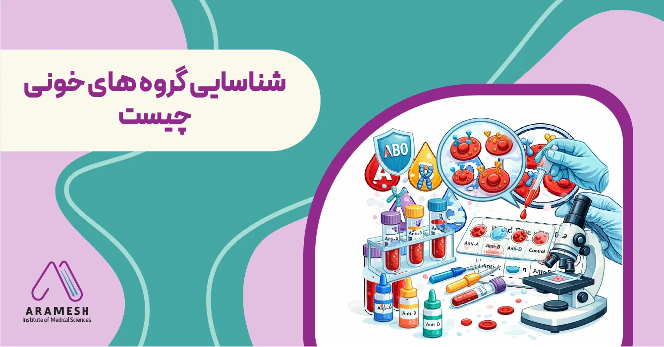 شناسایی گروه های خونی چیست
