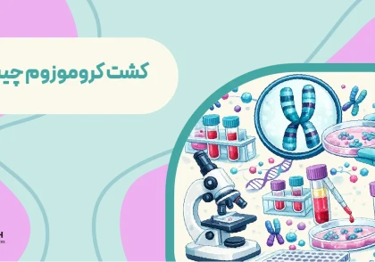 کشت کروموزوم چیست؟ | راهنمای کشت کروموزوم برای بررسی ناهنجاری‌ های ژنتیکی