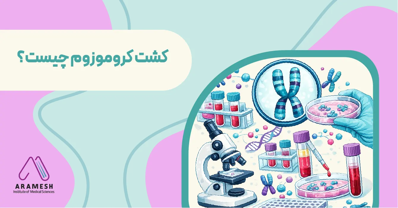 کشت کروموزوم چیست؟ | راهنمای کشت کروموزوم برای بررسی ناهنجاری‌ های ژنتیکی