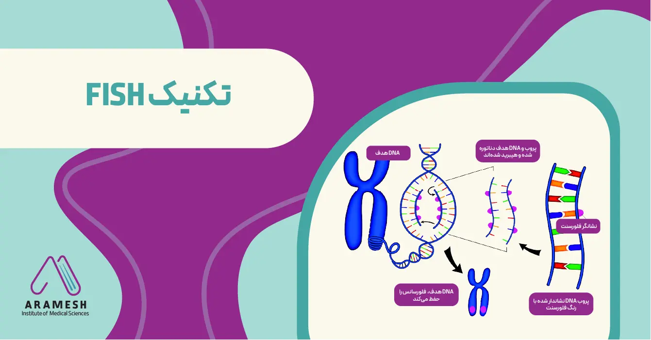تکنیک FISH