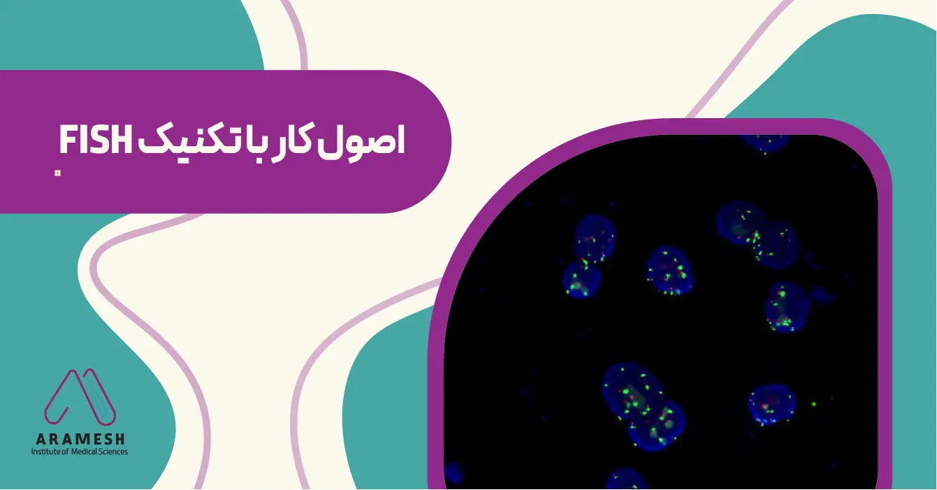 اصول کار با تکنیک FISH