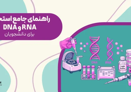 استخراج RNA و DNA در آزمایشگاه | راهنمای جامع استخراج RNA و DNA برای دانشجویان