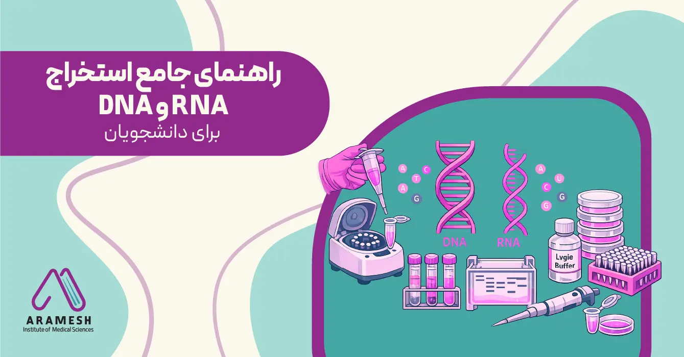 استخراج RNA و DNA در آزمایشگاه | راهنمای جامع استخراج RNA و DNA برای دانشجویان