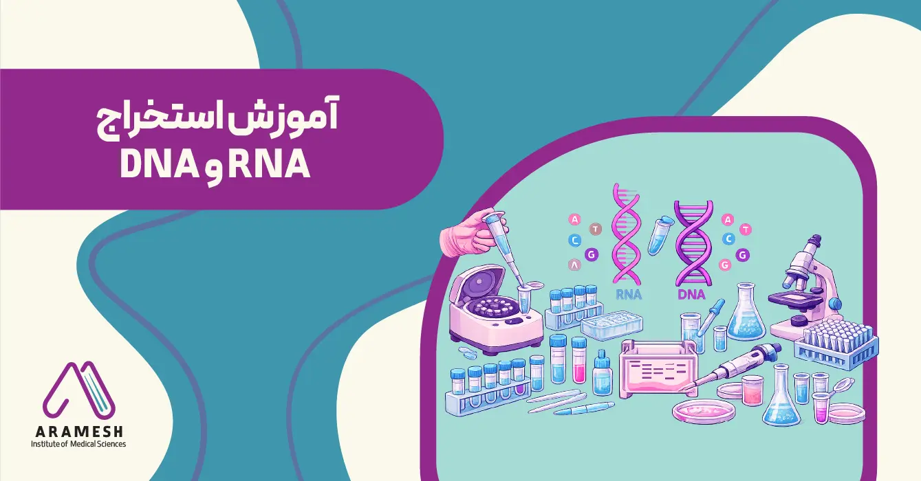 آموزش استخراج RNA و DNA
