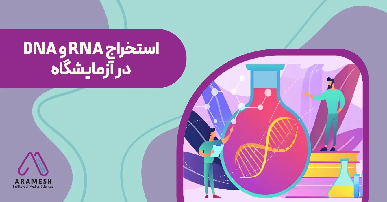 استخراج RNA و DNA در آزمایشگاه
